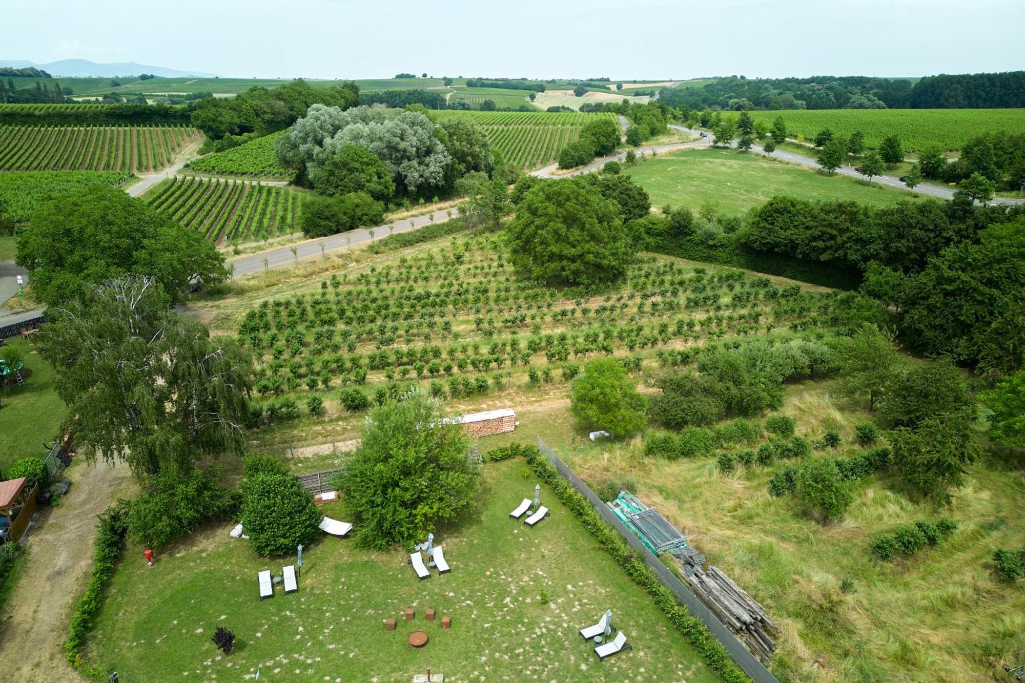 Weinhotel Fritz Walter Niederhorbach Экстерьер фото